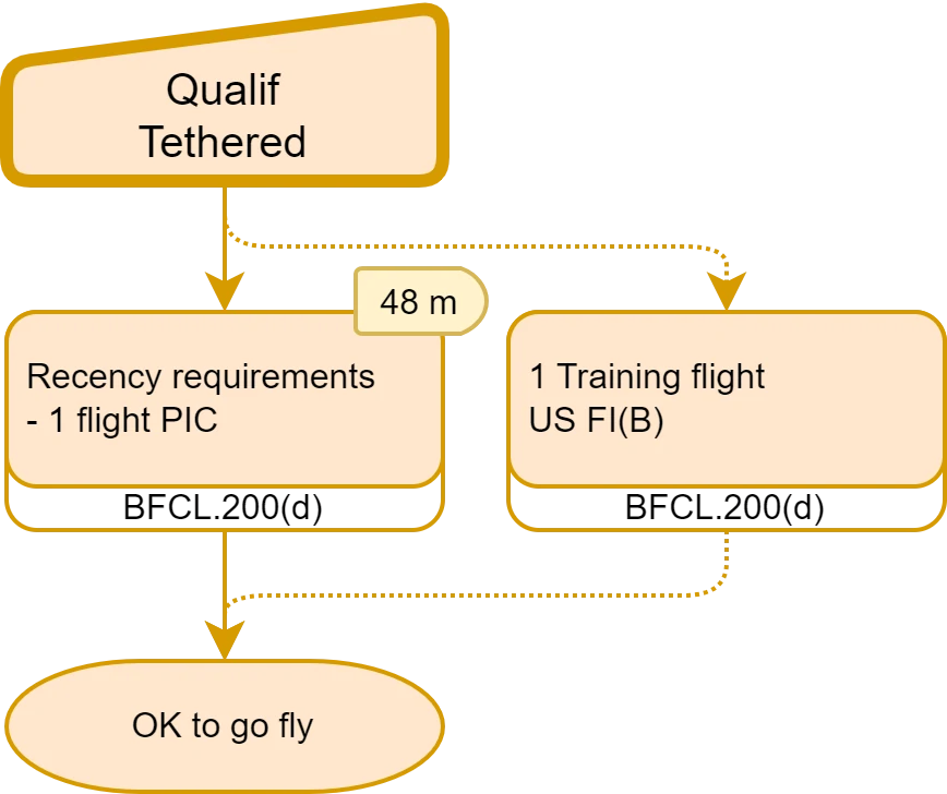 Maintien Licence3 FI